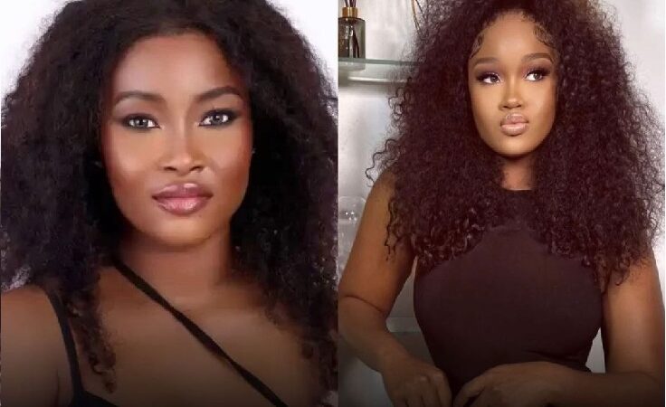 BBN All Stars housemate, Ilebaye receives dual strike for aggressive conduct; Ceec faces repercussions for provocation