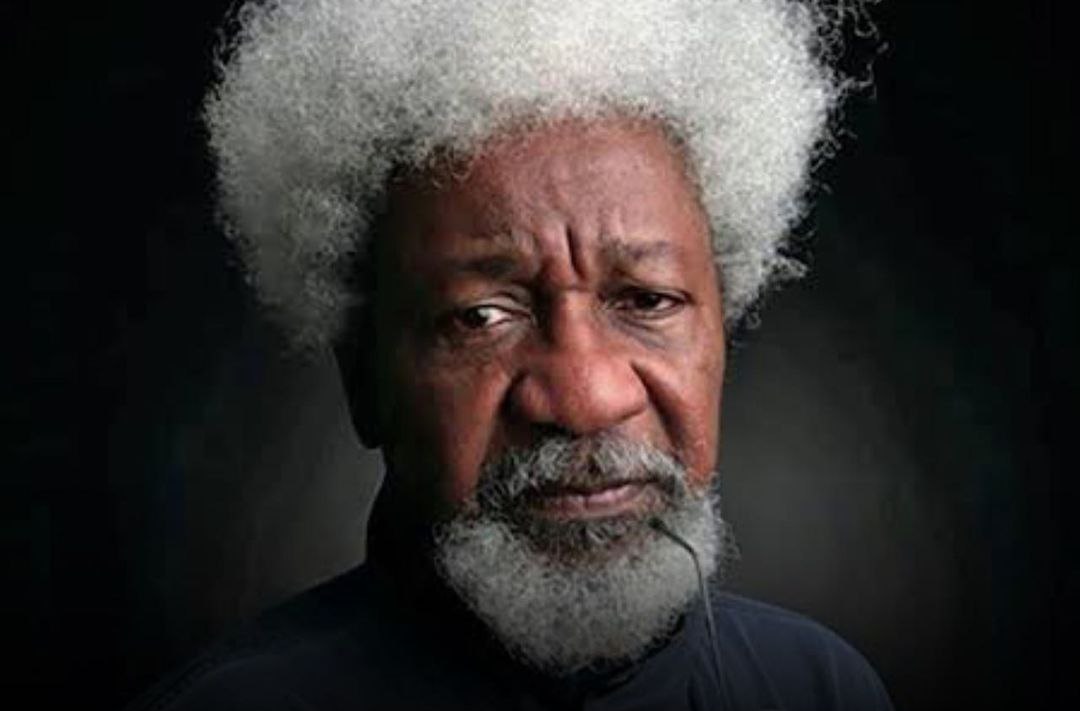 Technology is creating new generations of illiterates in Nigeria — Prof. Wole Soyinka