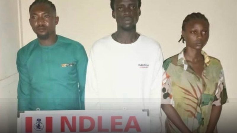 NDLEA arrests youth who organized drug party in Osogbo