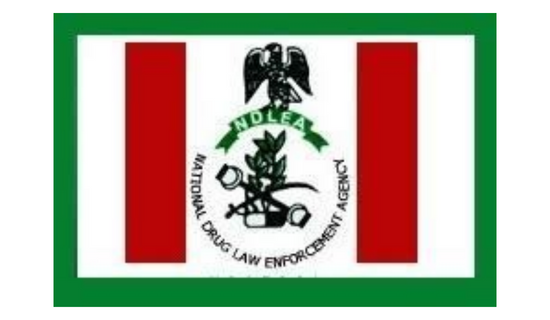 NDLEA rearrests 83-year-old woman for alleged drug trafficking in Abia