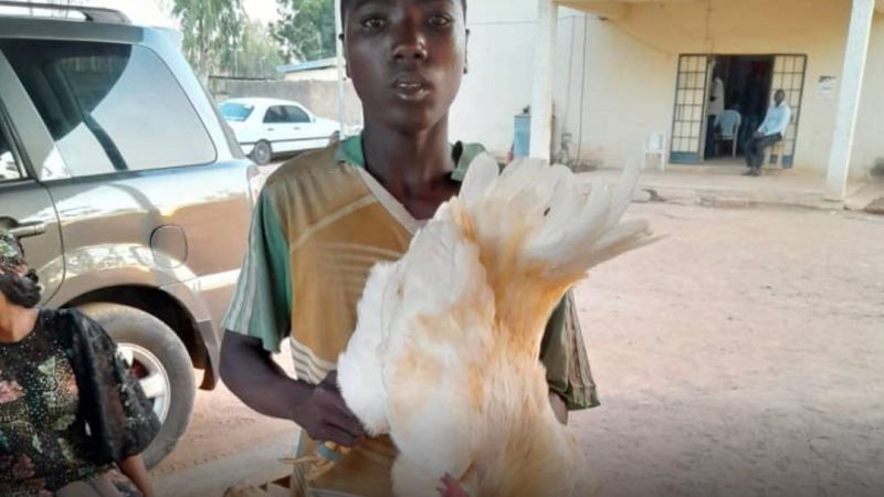 Young man arrested for having sex with a male chicken