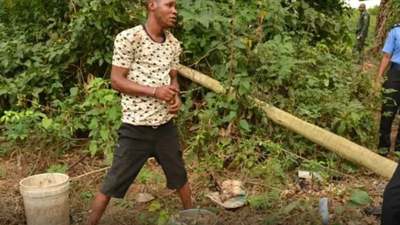 Police arrest suspected ritualïst, exhume decômpösing body of OAU student