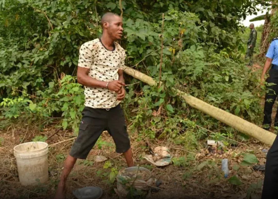 Police arrest suspected ritualist, exhume decômpösing body of OAU student