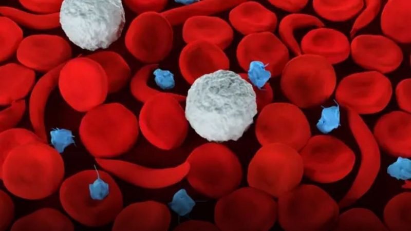 U.S. agency approves gene-editing treatments for sickle cell disease