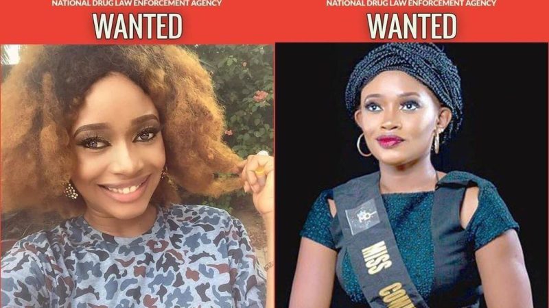 NDLEA declares ex-beauty queen wanted for allegedly dealing in illicit substances