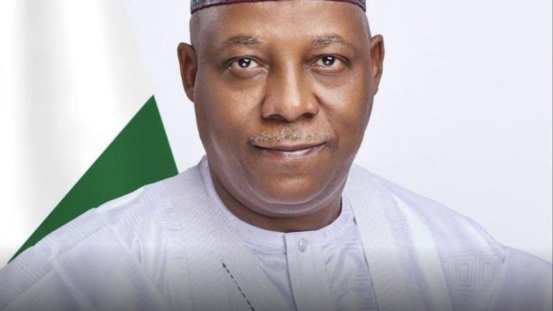 Economic hardship: Express your grievances in a responsible way - VP Shettima