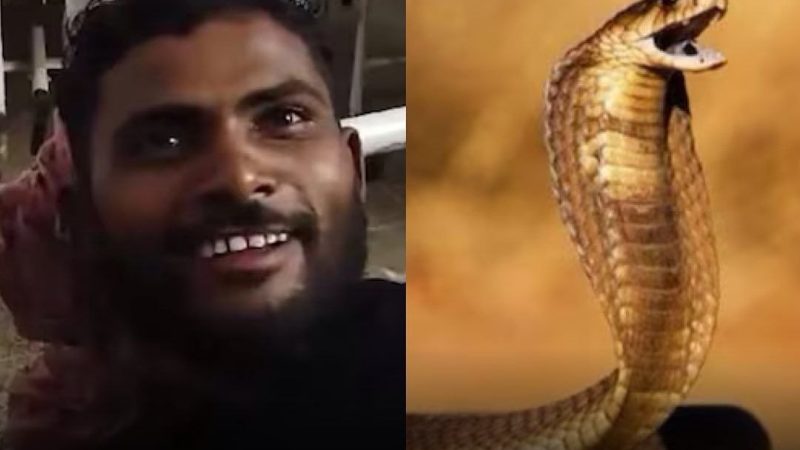 Indian man bites snake to death after it attacked him in his sleep