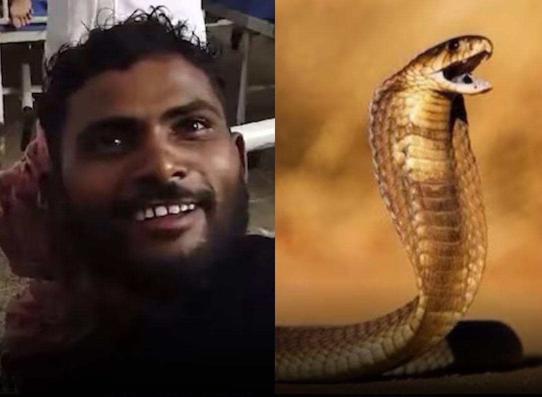 Indian man bites snake to death after it attacked him in his sleep