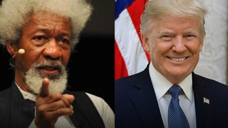 Wole Soyinka knocks Donal Trump