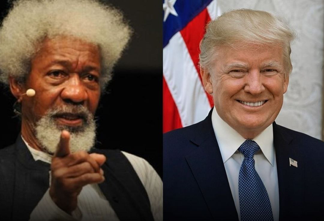 Wole Soyinka knocks Donal Trump