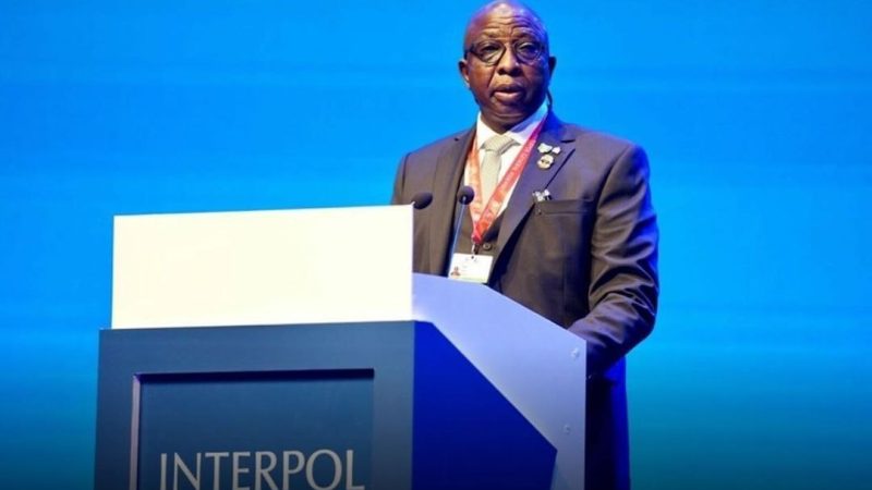 Money laundering: Thousands of dollars flown out of Nigeria every hour - Interpol