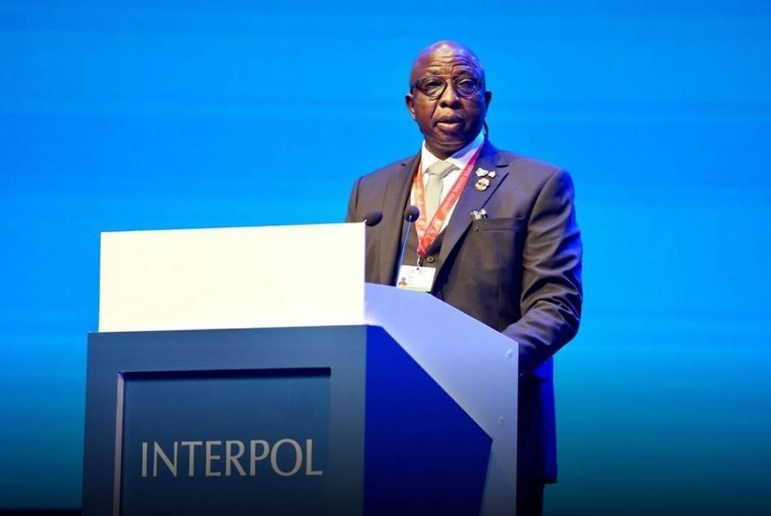 Money laundering: Thousands of dollars flown out of Nigeria every hour – Interpol