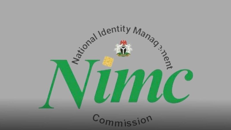 Nigerians to pay for new ID cards due to limited revenue