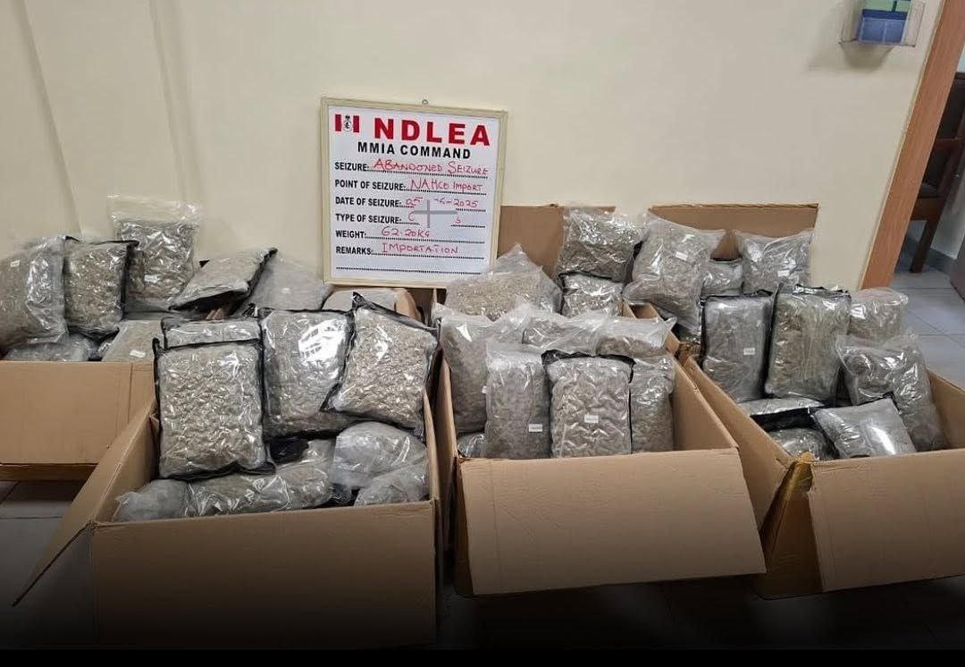 NDLEA intercepts 66 parcels of cannabis concealed as green tea at Lagos Airport