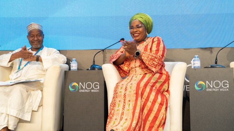 Future Energy: NSE President highlights professional bodies role in human capacity development