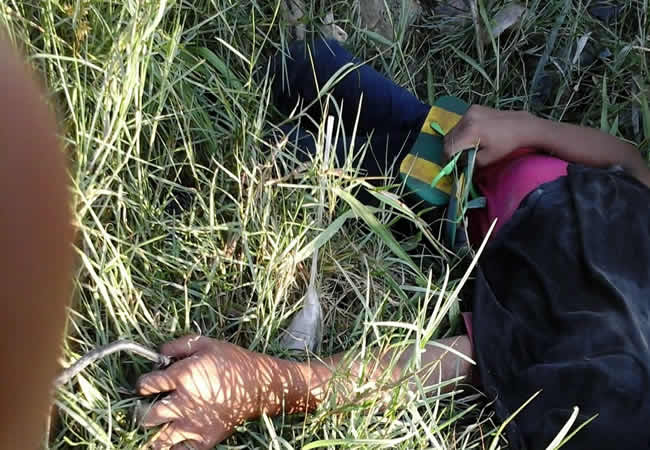 Tragedy in Anambra as POS operator electrocuted by fallen high-tension wire