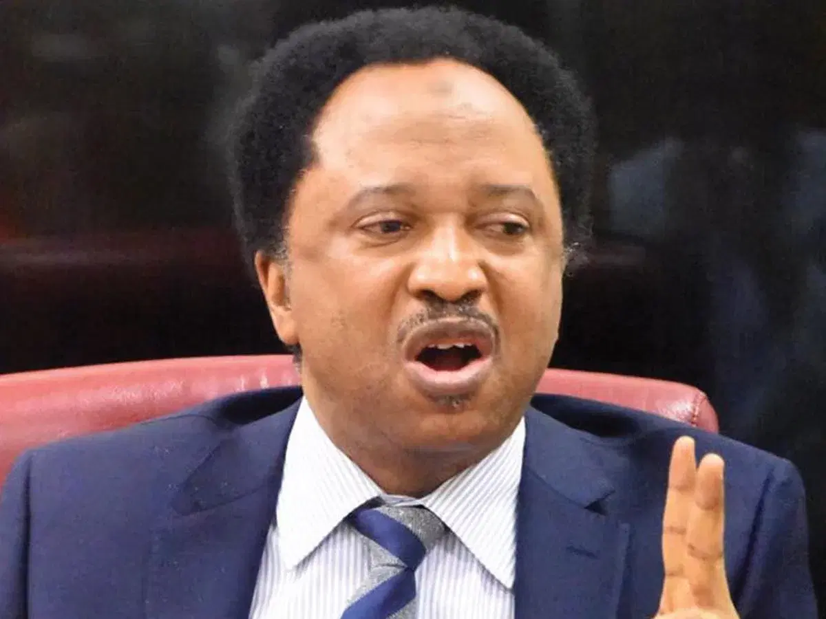 Shehu Sani: U.S. airstrikes helpful but Nigeria must lead fight against terrorism
