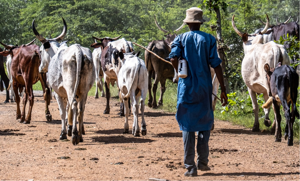 One killed, one injured as gunmen attack herders
