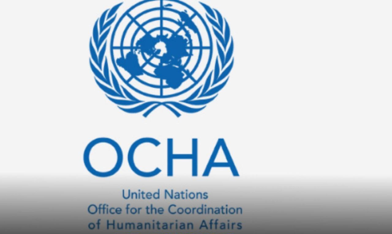 35 million Nigerians at risk of hunger in 2026 — UN