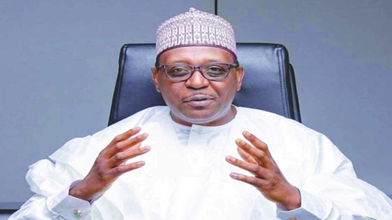 Only N36m released from N218bn 2025 health capital budget — Minister