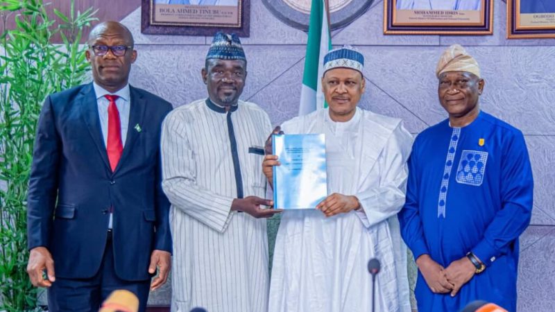 Nigeria ready for state police, says information minister