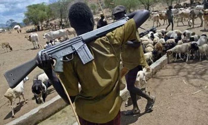 Suspected herders kill 12 in fresh Benue attack despite recent security deployment