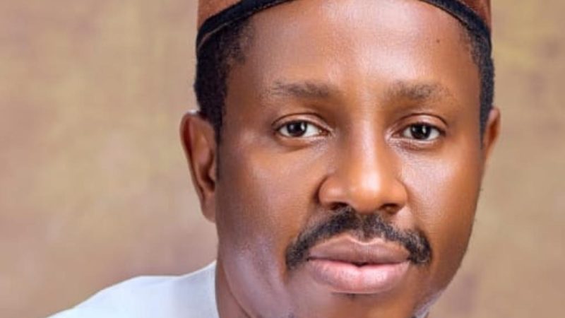 Amuwo Odofin: Group backs Umeadi as best man for Reps seat