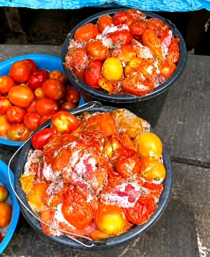 Aproko Doctor warns Nigerians about hidden health risks in spoiled tomatoes