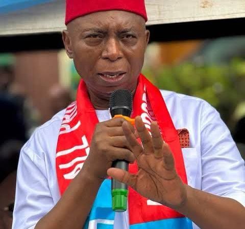 Ned Nwoko alleges APC betrayed automatic ticket promise