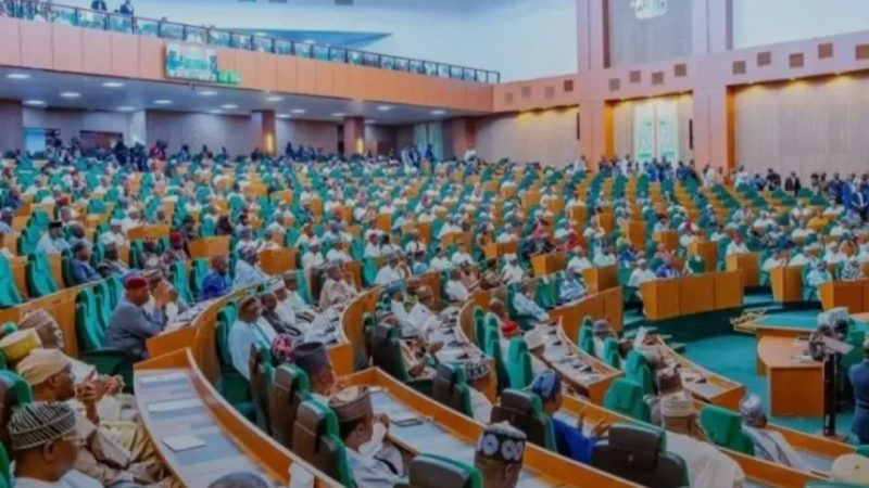 Reps urge Tinubu to intensify security operations, flush out bandits and kidnappers