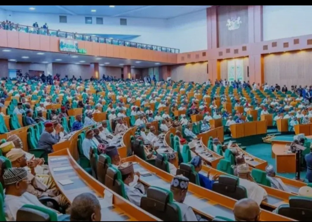 Reps tell service chiefs to resign if unable to end insecurity, urge Tinubu to adopt aggressive security strategy