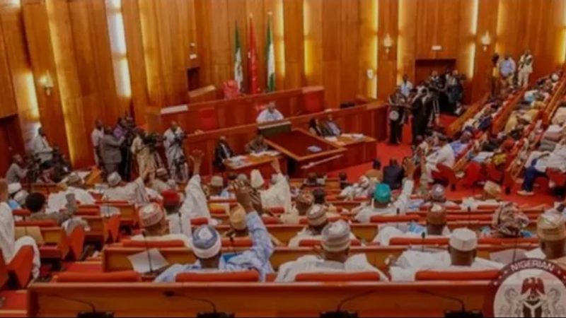 11th Senate may consider bill for single six-year tenure for president, governors