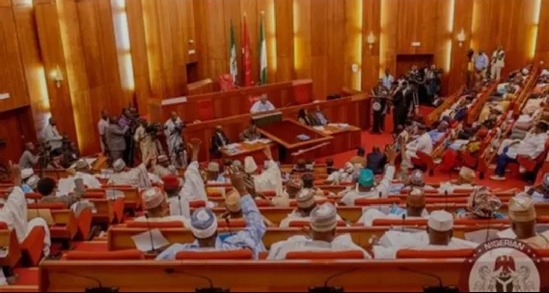 11th Senate may consider bill for single six-year tenure for president, governors