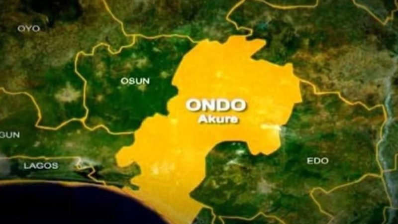 Ondo SUBEB denies awarding contract linked to controversial project