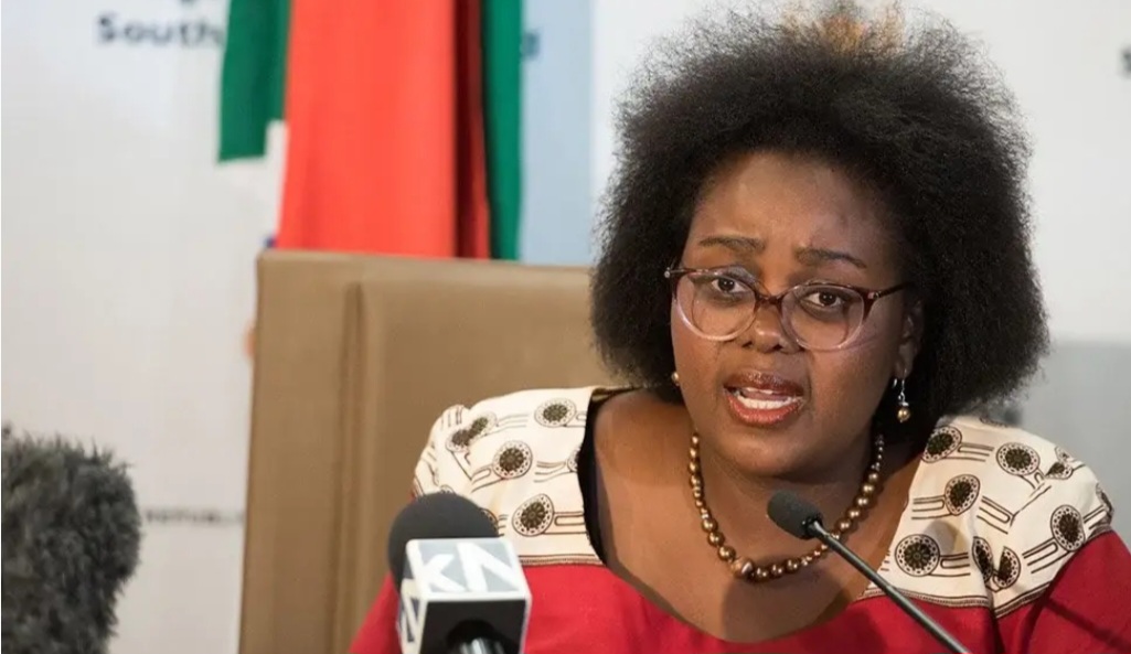 South African minister raises concern over xenophobia backlash as artists, businesses suffer losses abroad