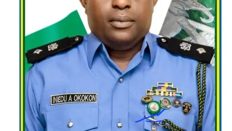 IGP replaces DCP Placid as force spokesperson, appoints CSP Anietie Iniedu