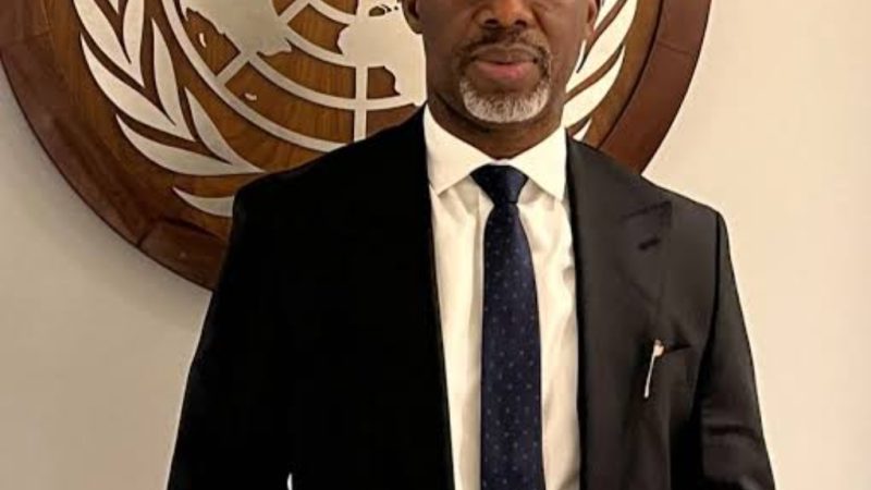 Former Imo governorship candidate Uche Nwosu praises Wike