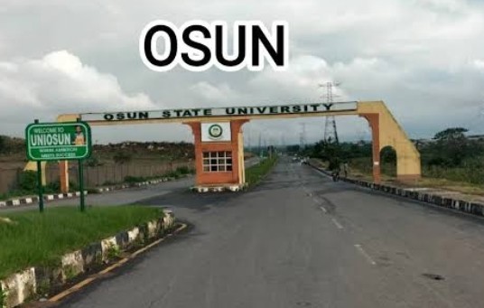 Adeleke orders review as UNIOSUN denies negligence in student's death
