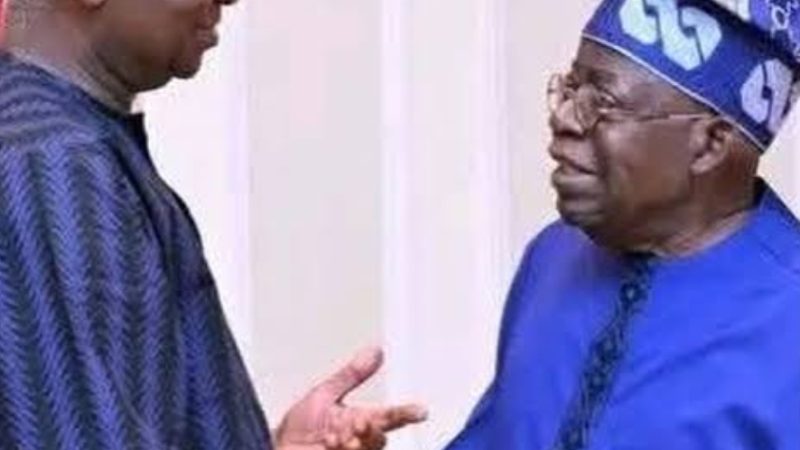 Tinubu extols Fashola’s leadership qualities in 62nd birthday tribute