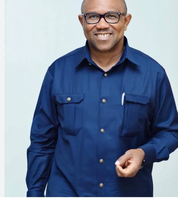 Obidient movement says recent court rulings threaten Nigeria’s democracy