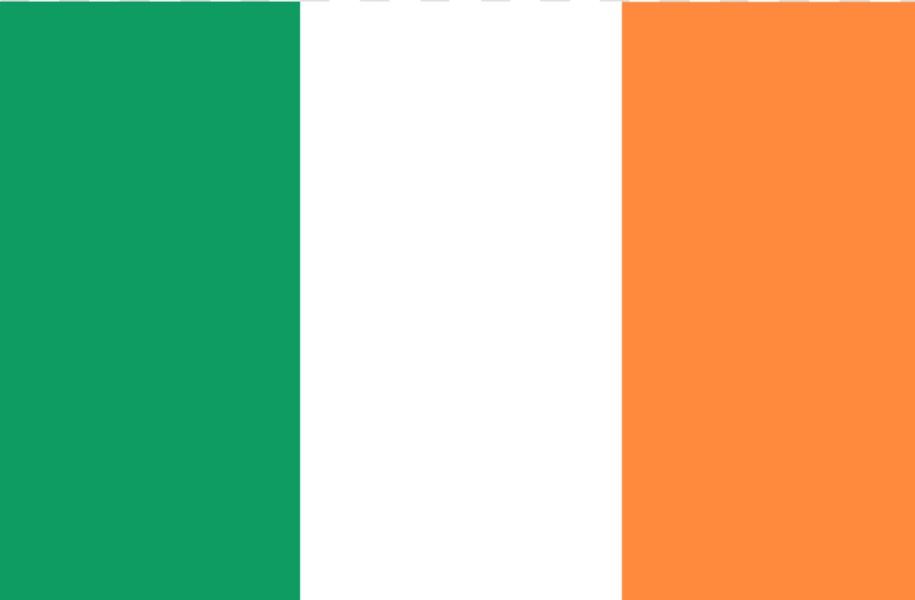 Ireland deports 42 South Africans