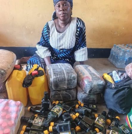 Troops arrest foreign national allegedly supplying drugs to terrorists in Borno