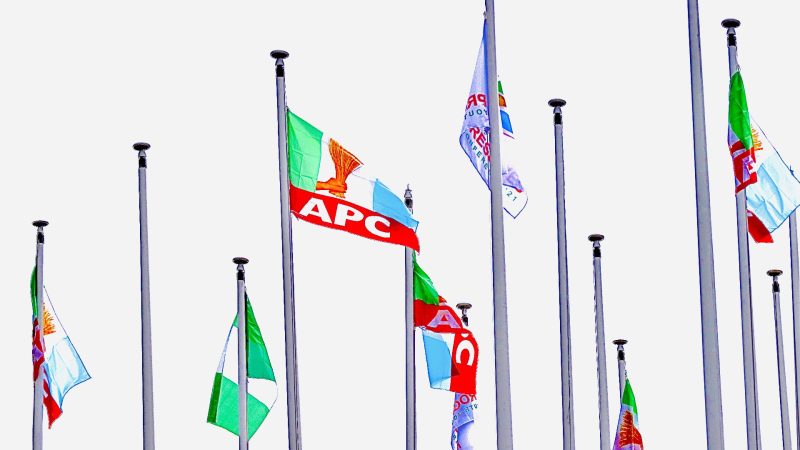 APC LG Chairmen to hold mega rally for Tinubu's 2027 re-election