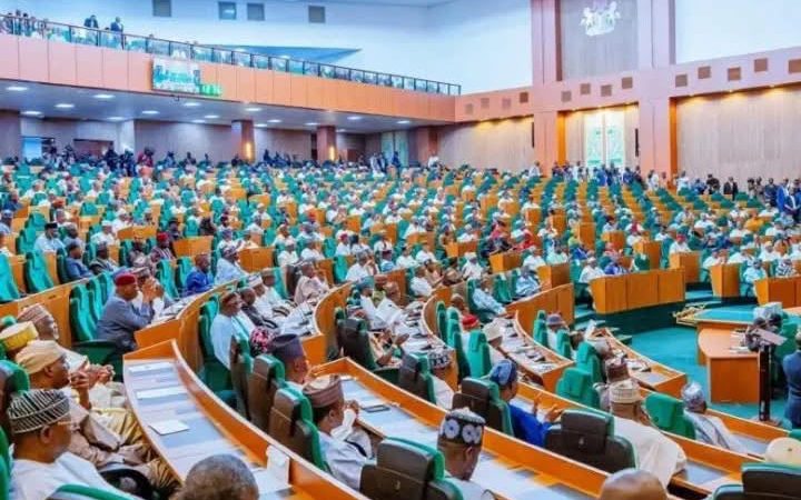 Reps withdraw State Police bill, adopt Tinubu’s executive proposal