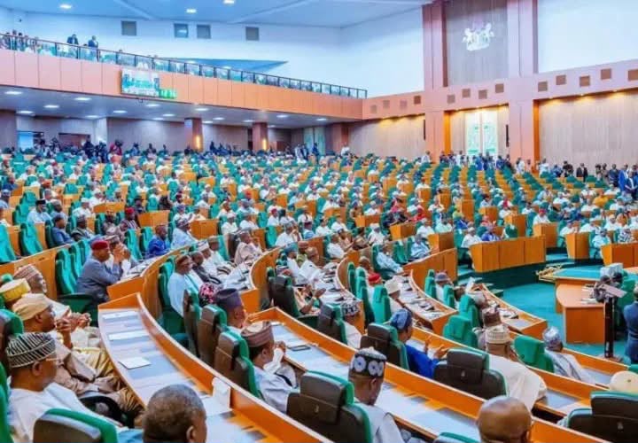 Reps withdraw State Police bill, adopt Tinubu’s executive proposal