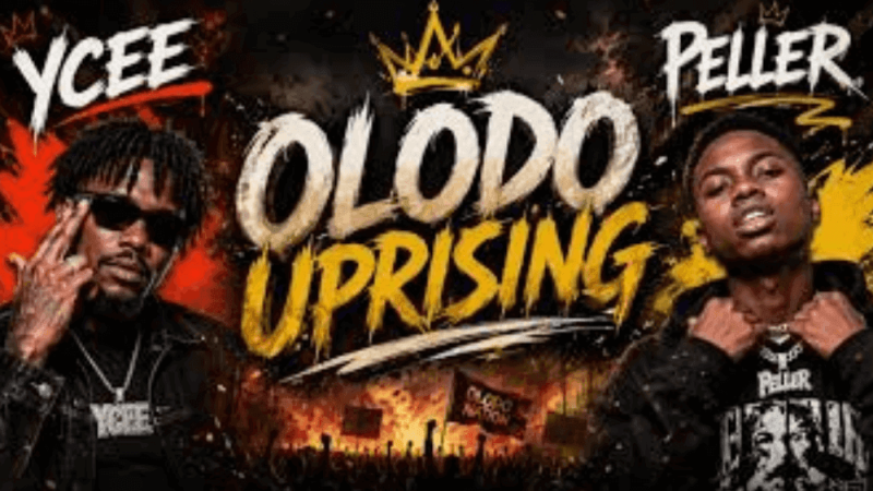 'Olodo Uprising': When anti-intellectualism threatens good governance