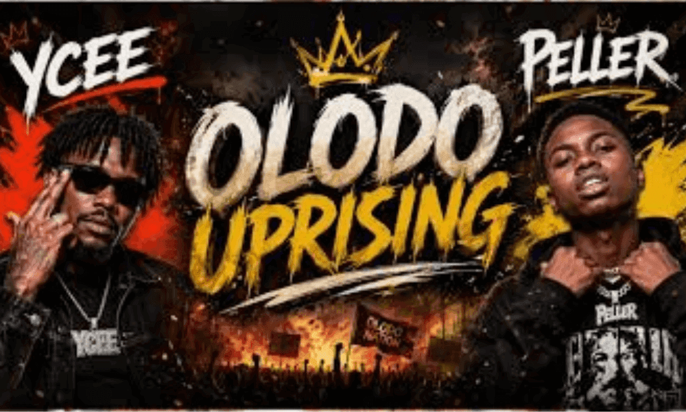 ‘Olodo Uprising’: When anti-intellectualism threatens good governance