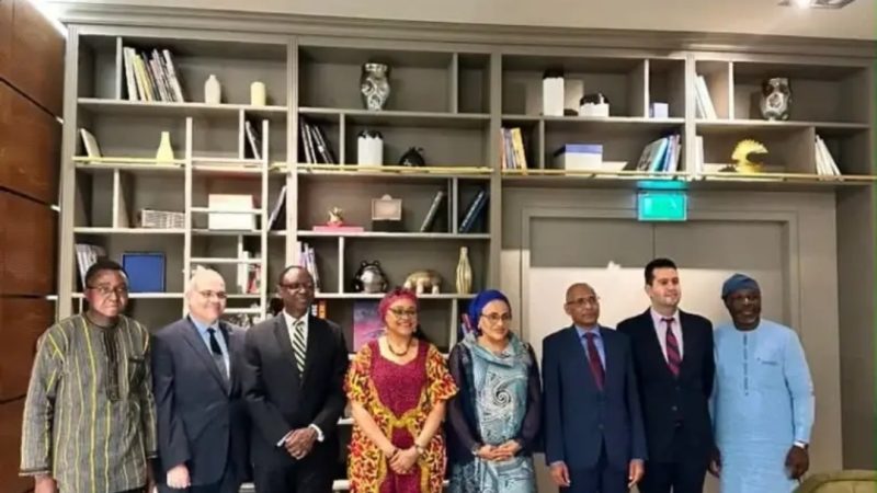 Florence Ajimobi arrives in Vienna, assumes duty as Nigeria’s Ambassador to Austria