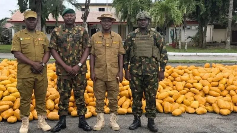 Nigerian Army intercepts suspected illicit Drugs on Lagos-Calabar Road, arrests driver