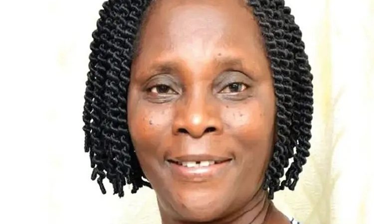 Experts advocate wider use of  MMS to tackle Nigeria's maternal mortality